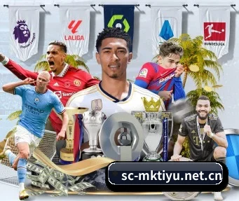 MK体育 APP | MK SPORTS